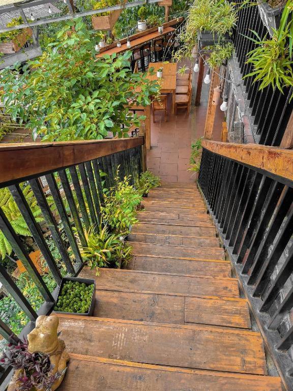 Hillside Sapa Hotel Екстериор снимка